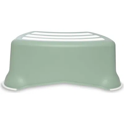 My Carry Potty Kids'  My Little Step Stool