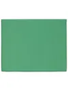 My Dream Light Green Scarf In Green