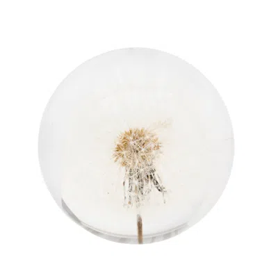 My Little Nature Neutrals Dandelion Globe Ball - Home Decoration - Housewarming Gift In Yellow