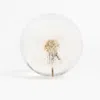 My Little Nature Neutrals Make A Wish Globe Ball Foy Yoga Lovers - Home Decoration - Natural Dandelion