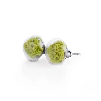 My Little Nature Women's Green Handmade Stud Earrings With Natural Neon Color Moss - Festival Jewelry