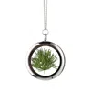 My Little Nature Women's Green / Silver Designer Jewelry Necklace With Natural Pine Needles – Forever And Always Youn In Multi