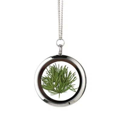 My Little Nature Women's Green / Silver Designer Jewelry Necklace With Natural Pine Needles – Forever And Always Youn In Multi