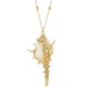 My Little Nature Women's White Natural Shell Boho Necklace With Gold-plated Chain In White