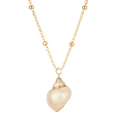 My Little Nature Women's White Seashell Necklace With Gold Plated Chain