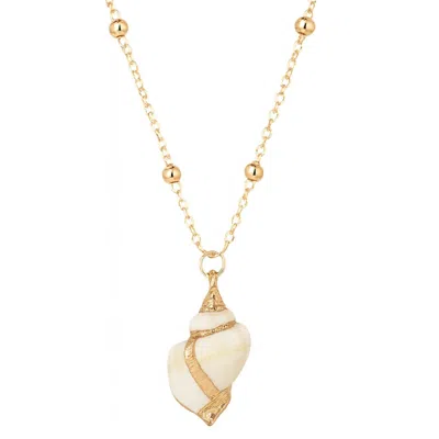 My Little Nature Women's White Seashell Necklace With Golden Details And Gold Plated Chain