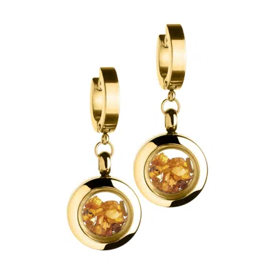My Little Nature Women's Yellow / Orange / Gold Gold Plated Dangle Earrings With Natural Amber - Amber Jewellery - Or