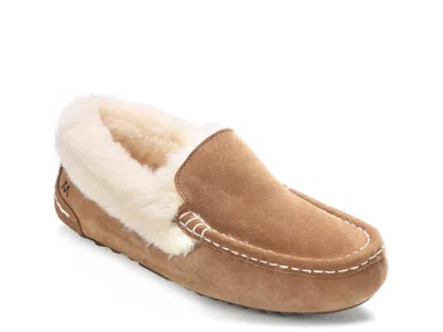 Mykos Aussie Slipper In Brown