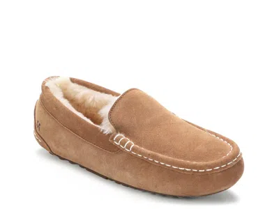 Mykos Callie Slipper In Brown