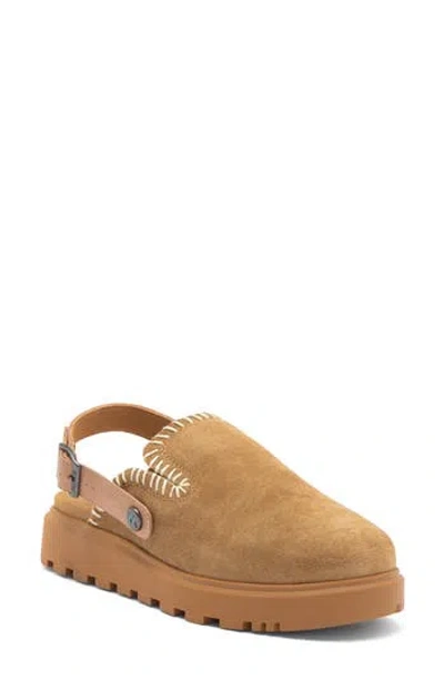 Mykos Lilah Mule In Brown
