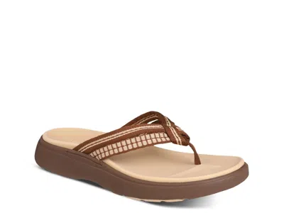 Mykos Nami Flip Flop In Brown