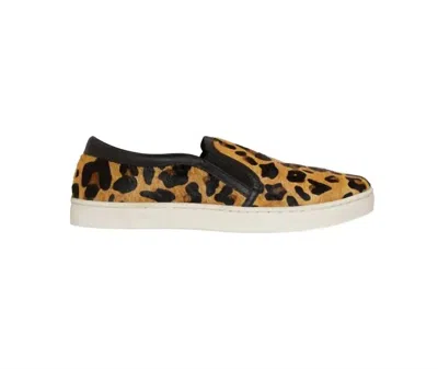 Myra Women's Leather Leopard Hair On Hide Slip On Sneakers In Brown