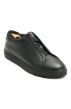 Myrqvist Alnö Elastic Sneakers In Black