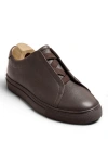 Myrqvist Alnö Elastic Sneakers In Brown