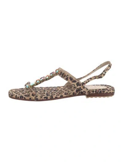 Pre-owned Mystique Animal Print Sandals In Multicolor