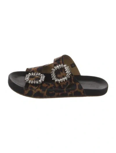 Pre-owned Mystique Animal Print Slides In Black