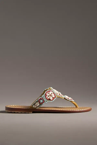 Mystique Shell-embellished Thong Sandals