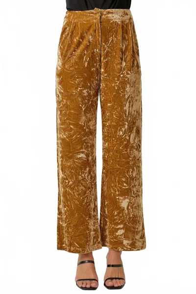 Mystree Crinkle Velvet Trousers In Gold