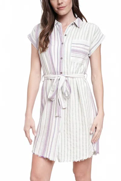 Mystree Get Used To It Mini Dress In Mint In Pink
