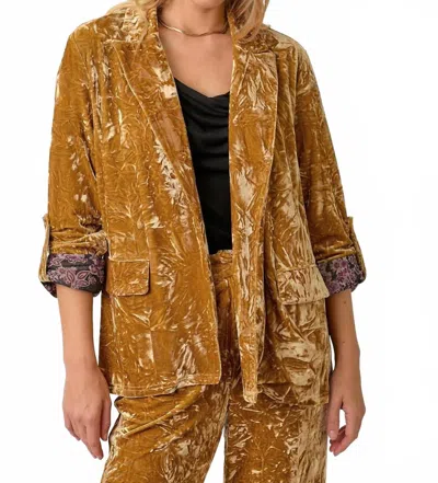 Mystree Rolled Sleeve Velvet Blazer In Gold
