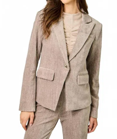 Mystree Velvet Blazer In Cappuccino In Brown