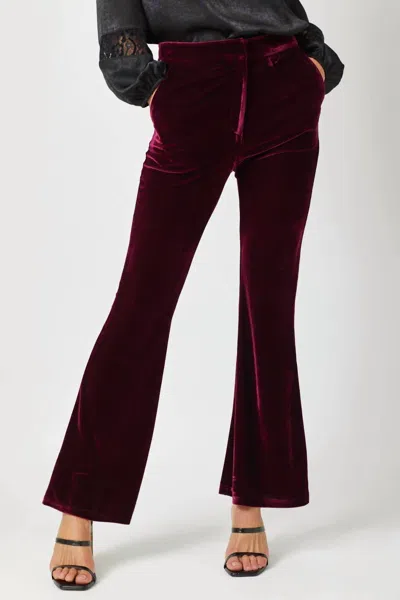 Mystree Velvet Flare Trousers In Merlot In Red