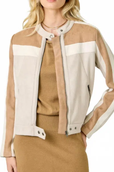 Mystree Women's Color Blocked Moto Jacket In Ivory Combo In Brown