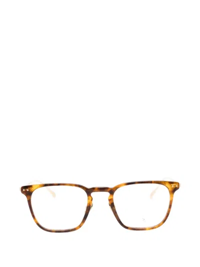 Myth Biruni Glasses In Brown
