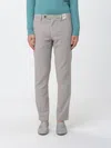 Myths Ice Cotton Chino Trousers In Gray