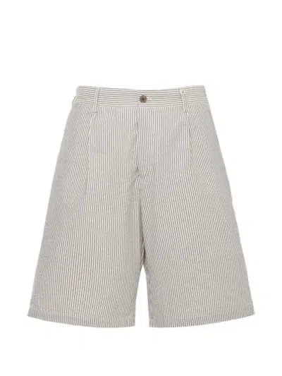 Myths Striped Cotton Shorts In Gray