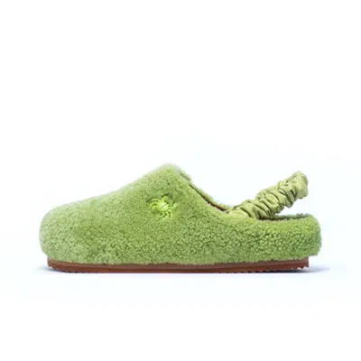 Myyaz Women's Teddy Clog - Green