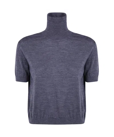 N°21 Short-sleeve Turtleneck Sweater In Purple