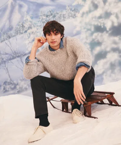 Naadam Lofty Alpaca Crewneck In Brown