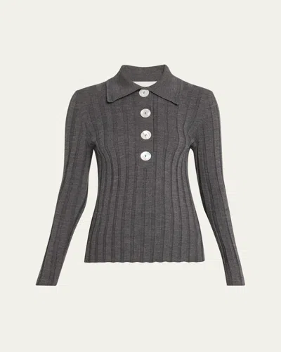 Nackiyé Sugarman Rib Knit Long-sleeve Polo Top In Gray