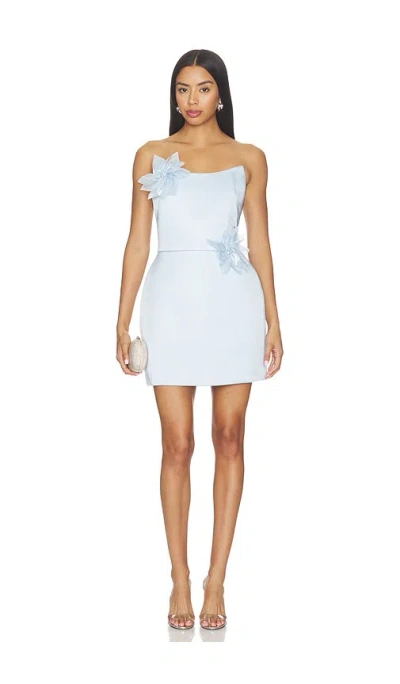 Nadine Merabi Flower Trim Mini Dress In Blue