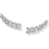 Nadri Cassi Double Row Cubic Zirconia Stud Earrings In Rhodium