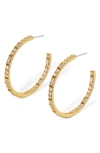 Nadri Cubic Zirconia Hoop Earrings In 18k Gold Plated In Gold