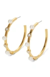 Nadri Large Farrah Faux Pearl Earrings In Gold