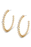 Nadri Sunshower Crystal Hoop Earrings In Gold