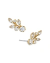 Nadri Whimsy Vine Stud Earrings In Gold/crystal