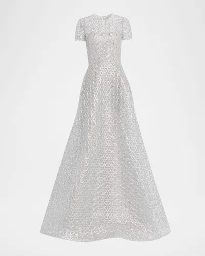 Naeem Khan Metallic Raffia Embroidered Short-sleeve Gown In Gray