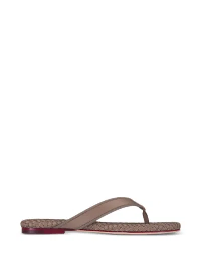 Naghedi Hydra Woven Sandals In Brown