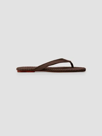 Naghedi Women's Hydra Flip Flops In Brown