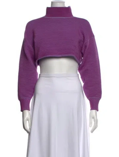 Pre-owned Nagnata Striped Turtleneck Crop Top In Purple