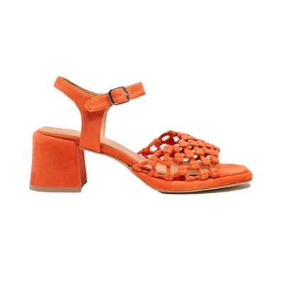 Naguisa Women's Cynara Orange -