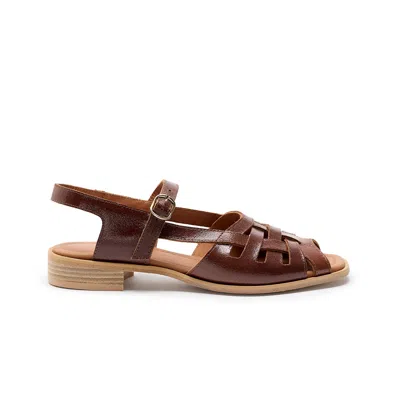 Naguisa Women's Manto Brown Gloss