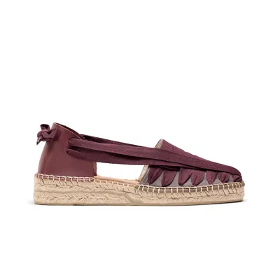Naguisa Women's Purple Soc Eggplant -  In Burgundy