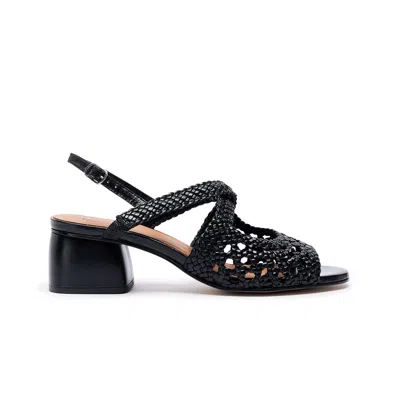 Naguisa Women's Uga Rounded Black In Multi