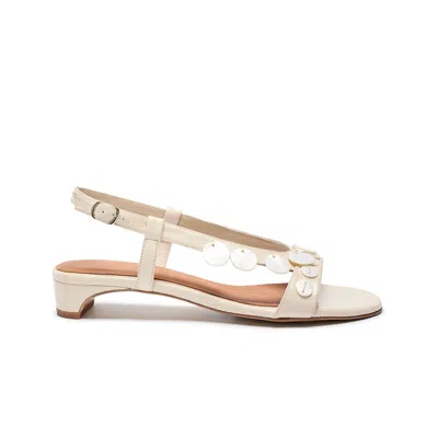 Naguisa Women's White Roses Ecru Gloss -  In Multi