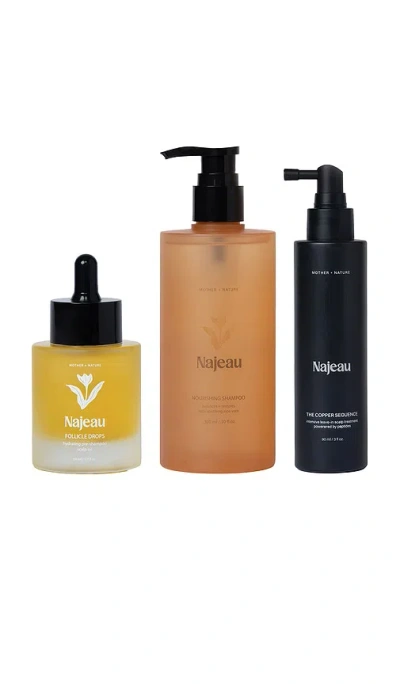 Najeau Scalp Treatment Set In Multi